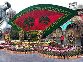 吉林輝南龍灣花海種植160畝